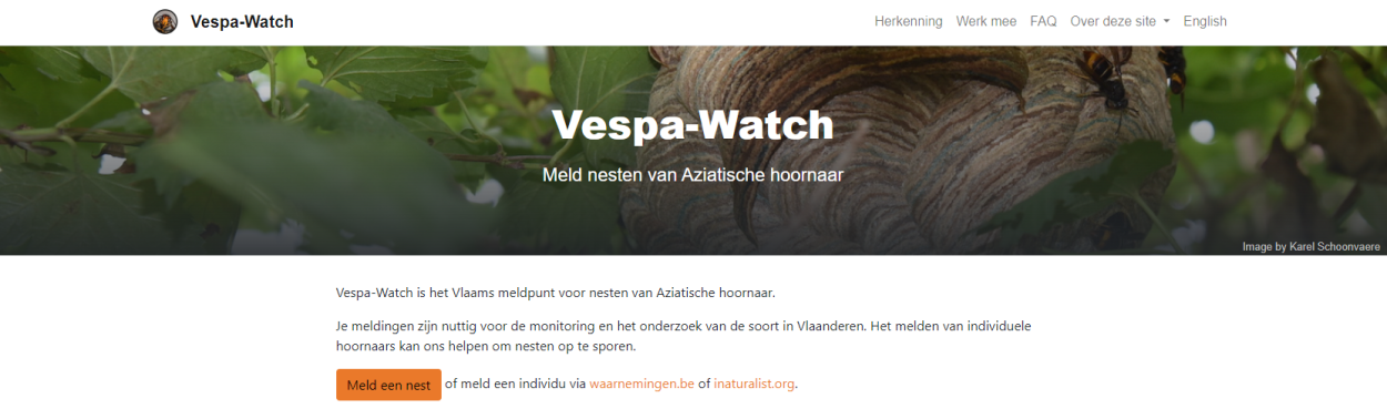 Vespa-watch