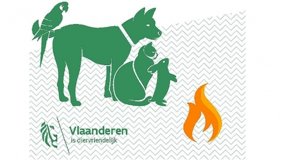 Een papegaai, hond, kat en een konijn naast elkaar met het logo van de federale overheid