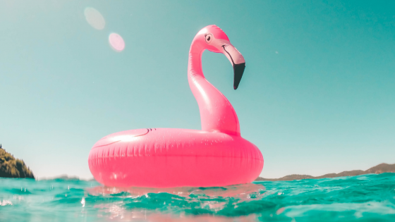 Opblaasbare flamingo op het water