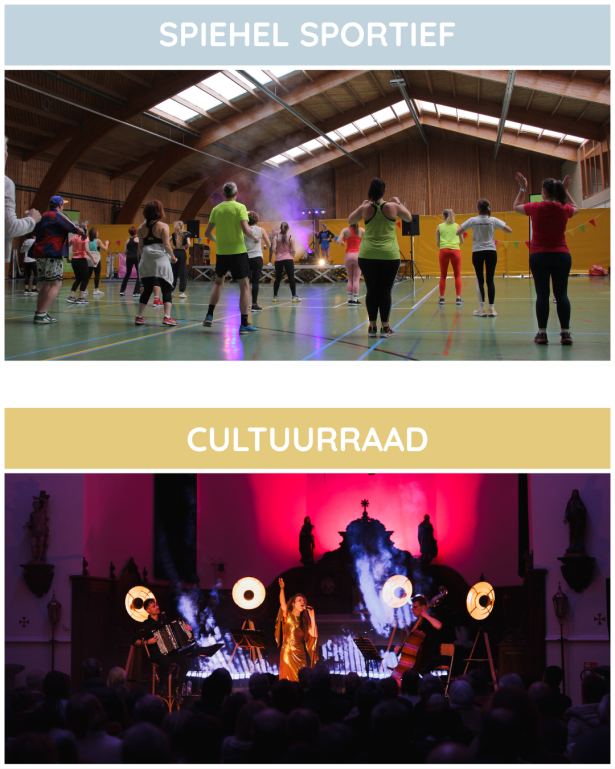 SpieHel Sportief en cultuurraad